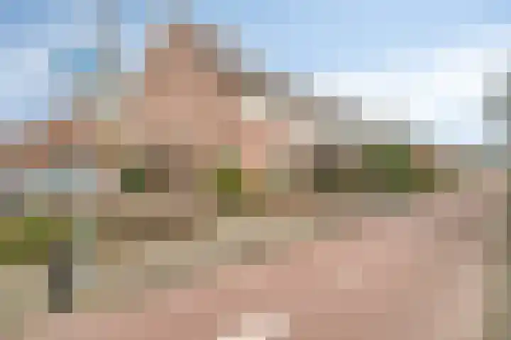 Distelvink 33 Veenendaal thumbnail 4