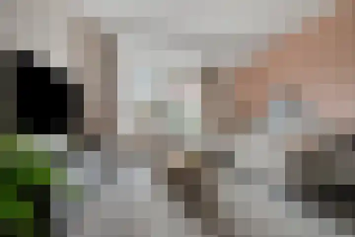 Distelvink 33 Veenendaal thumbnail 8