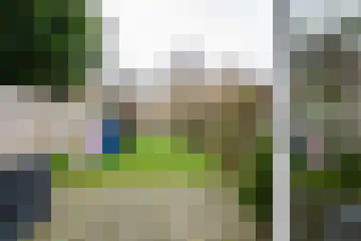 Distelvink 66 Emmen thumbnail 32
