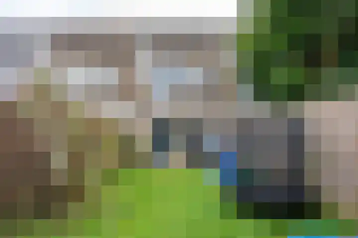 Distelvink 66 Emmen thumbnail 34