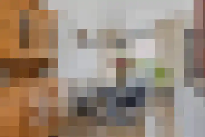 Distelvink 69 Veenendaal thumbnail 14