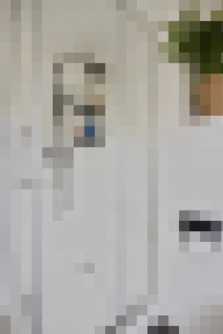 Distelvink 69 Veenendaal thumbnail 22