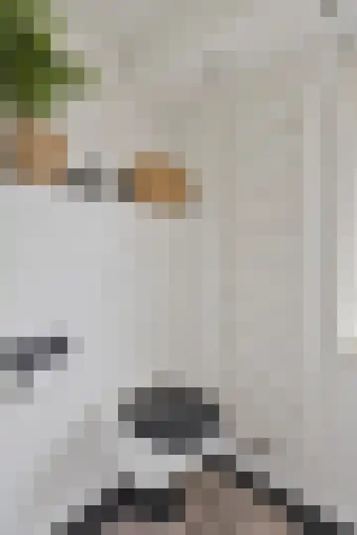 Distelvink 69 Veenendaal thumbnail 23