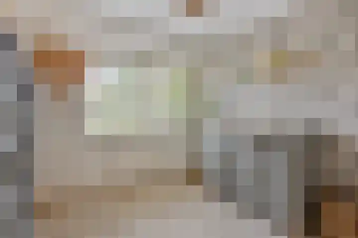 Distelvink 69 Veenendaal thumbnail 24