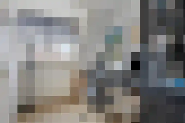 Distelvink 69 Veenendaal thumbnail 26