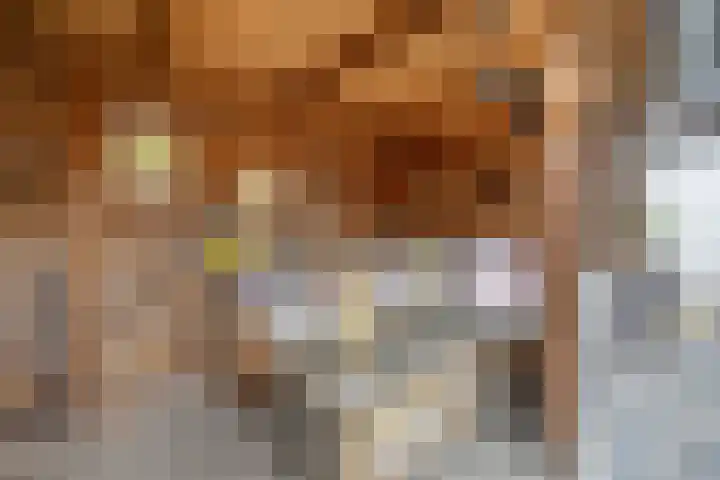 Distelvink 69 Veenendaal thumbnail 31
