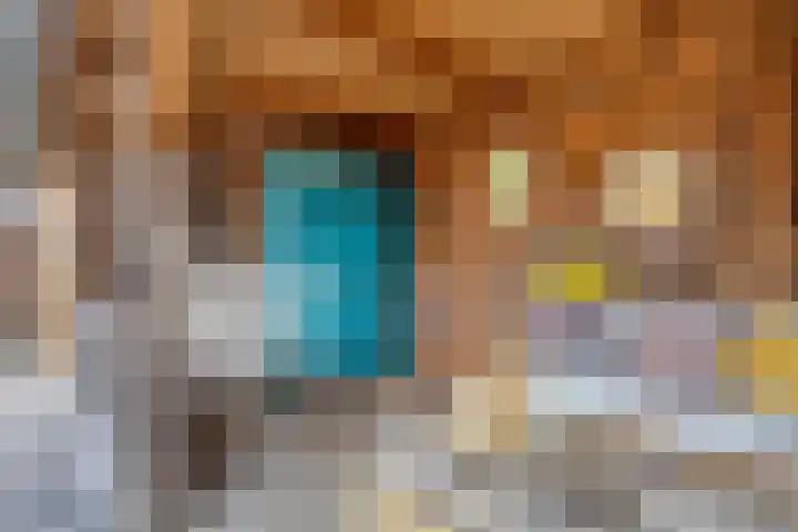 Distelvink 69 Veenendaal thumbnail 32