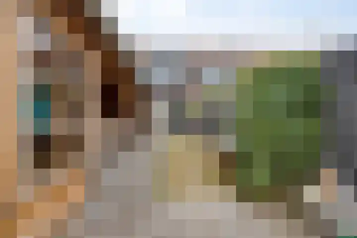 Distelvink 69 Veenendaal thumbnail 33