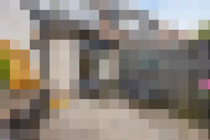 Distelvink 69 Veenendaal thumbnail 34