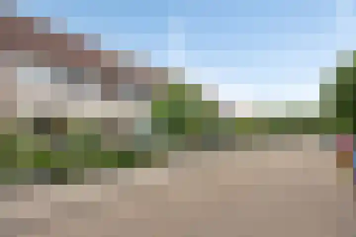 Distelvink 69 Veenendaal thumbnail 35