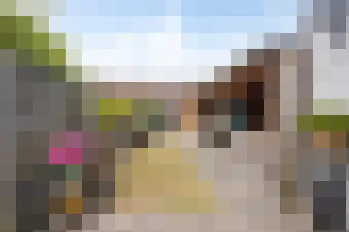 Distelvink 69 Veenendaal thumbnail 5