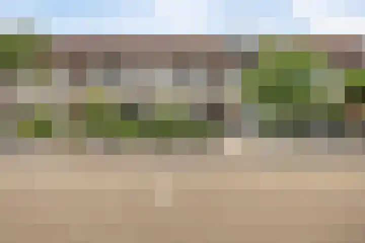 Distelvink 69 Veenendaal thumbnail 6