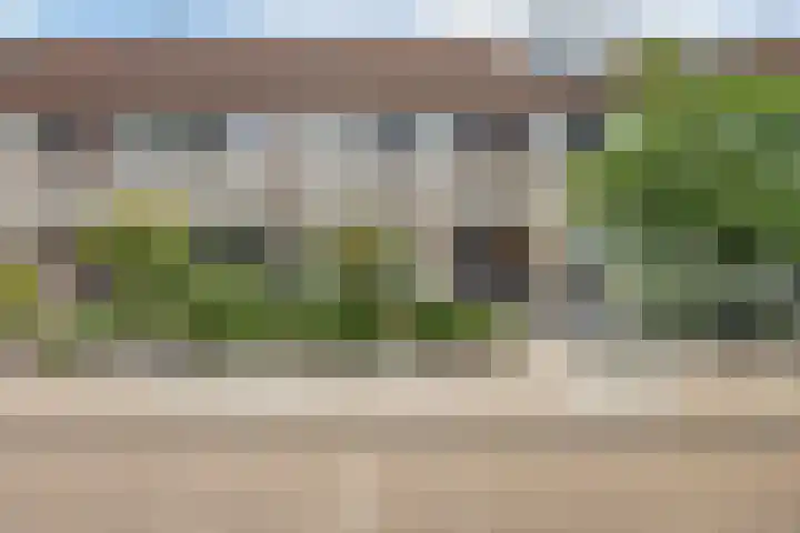 Distelvink 69 Veenendaal thumbnail 7
