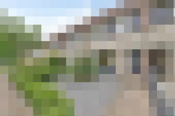 Distelvink 69 Veenendaal thumbnail 8