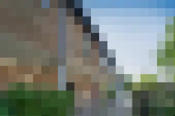 Distelvink 90 Emmen thumbnail 23