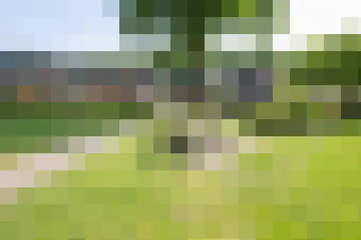Distelvink 90 Emmen thumbnail 25