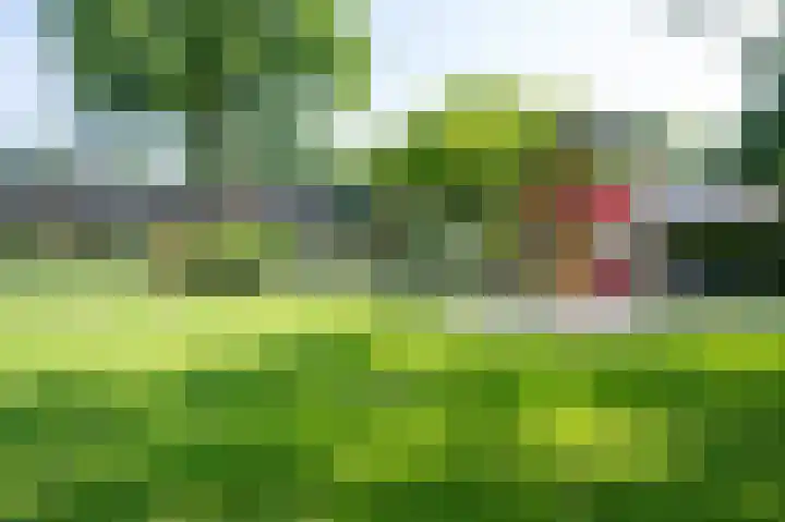 Distelvink 90 Emmen thumbnail 26