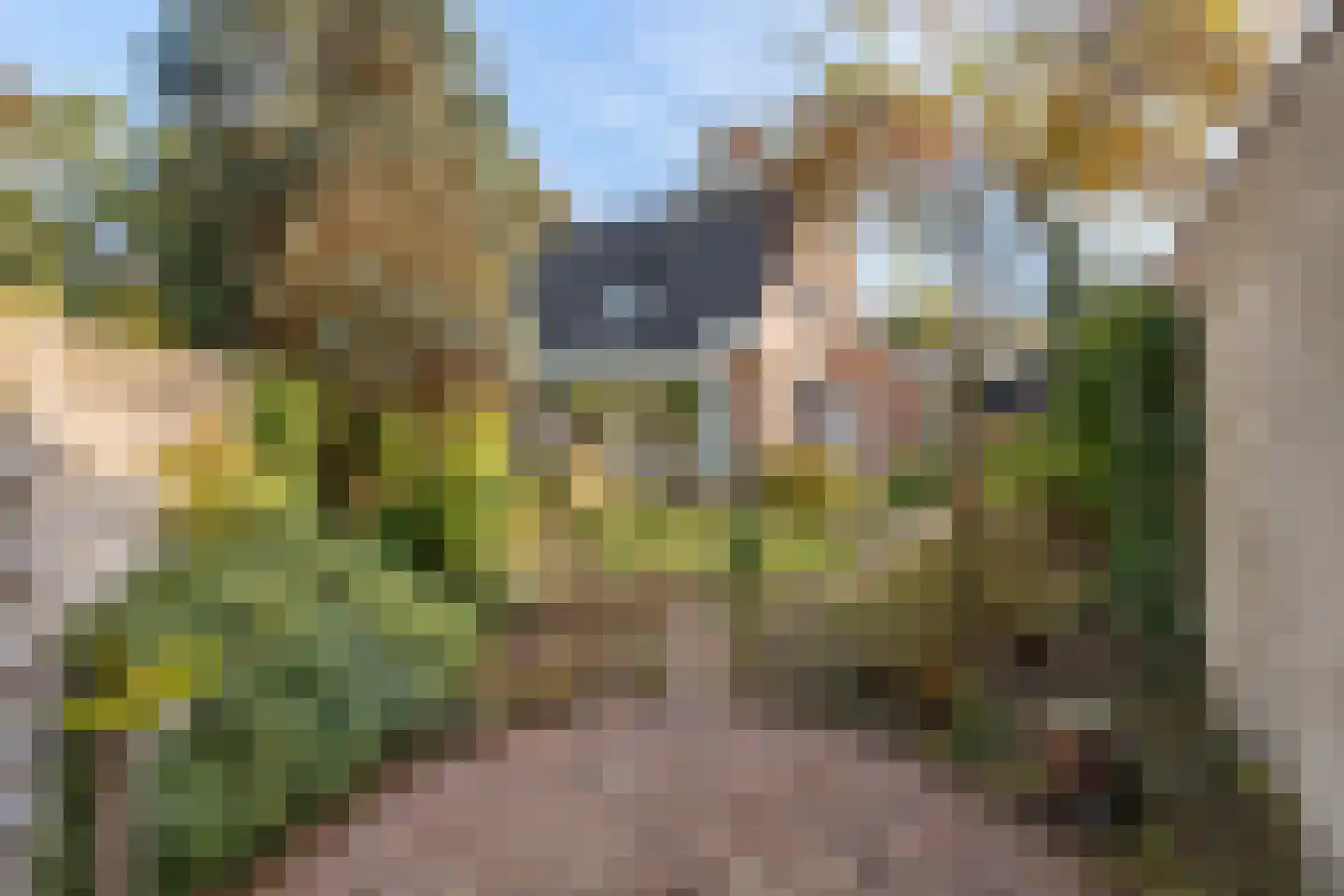 Distelvinklaan 2 Maarn thumbnail 44