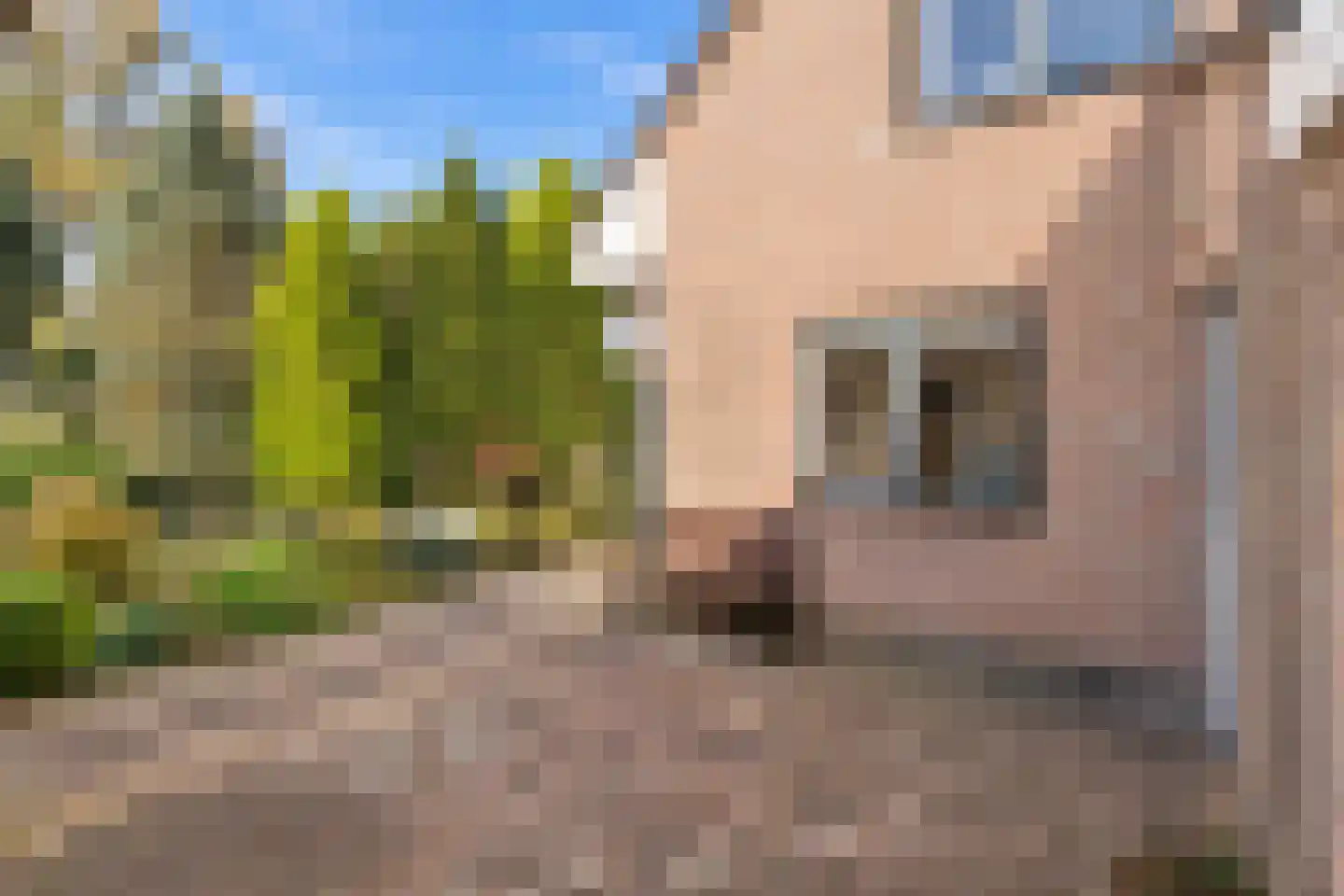 Distelvinklaan 2 Maarn thumbnail 49