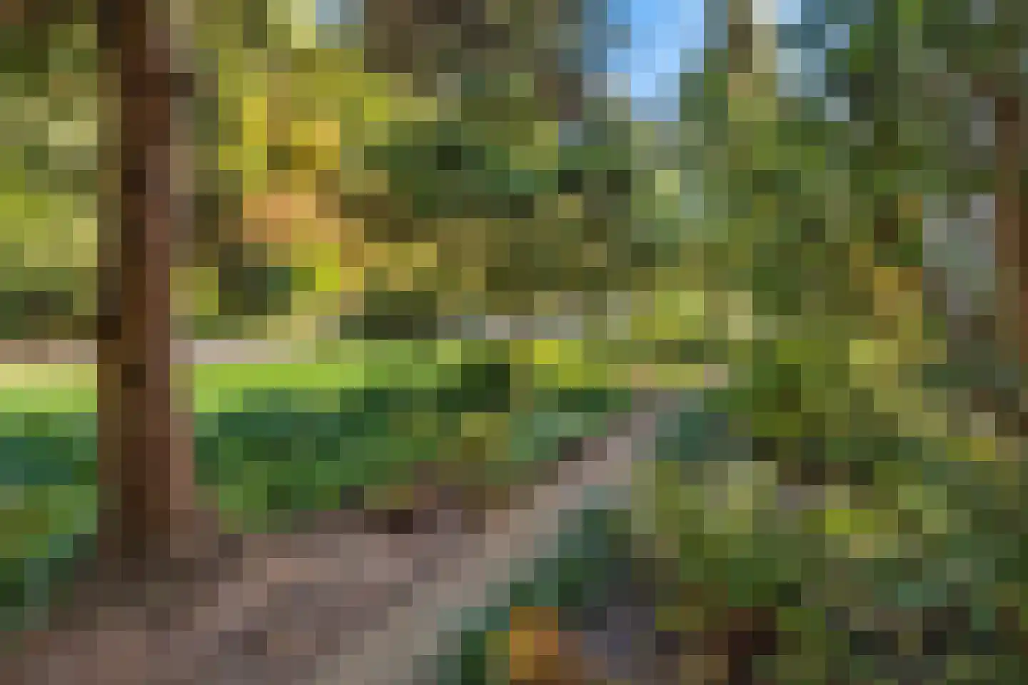 Distelvinklaan 2 Maarn thumbnail 50