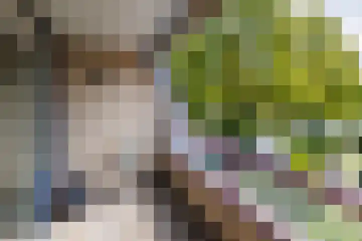 Distelvinklaan 22 Maarn thumbnail 17