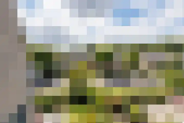 Distelvinklaan 22 Maarn thumbnail 32