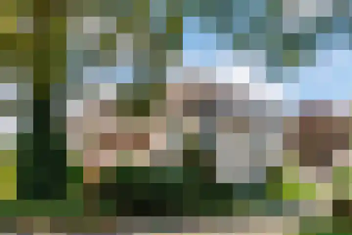 Distelvinklaan 22 Maarn thumbnail 44