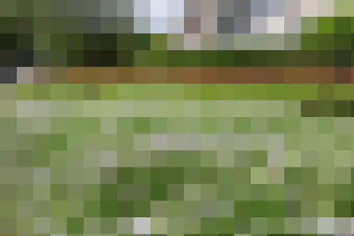 Distelvinklaan 22 Maarn thumbnail 46