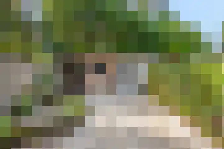 Distelvinklaan 30 Maarn thumbnail 37