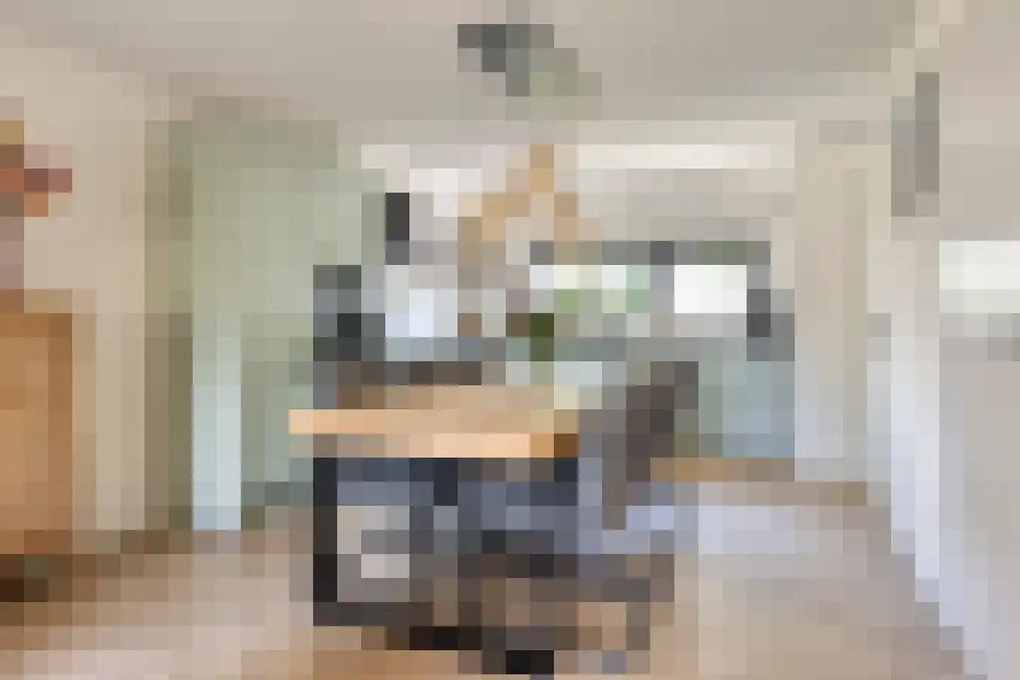 Distelvlinder 10 Breda thumbnail 14