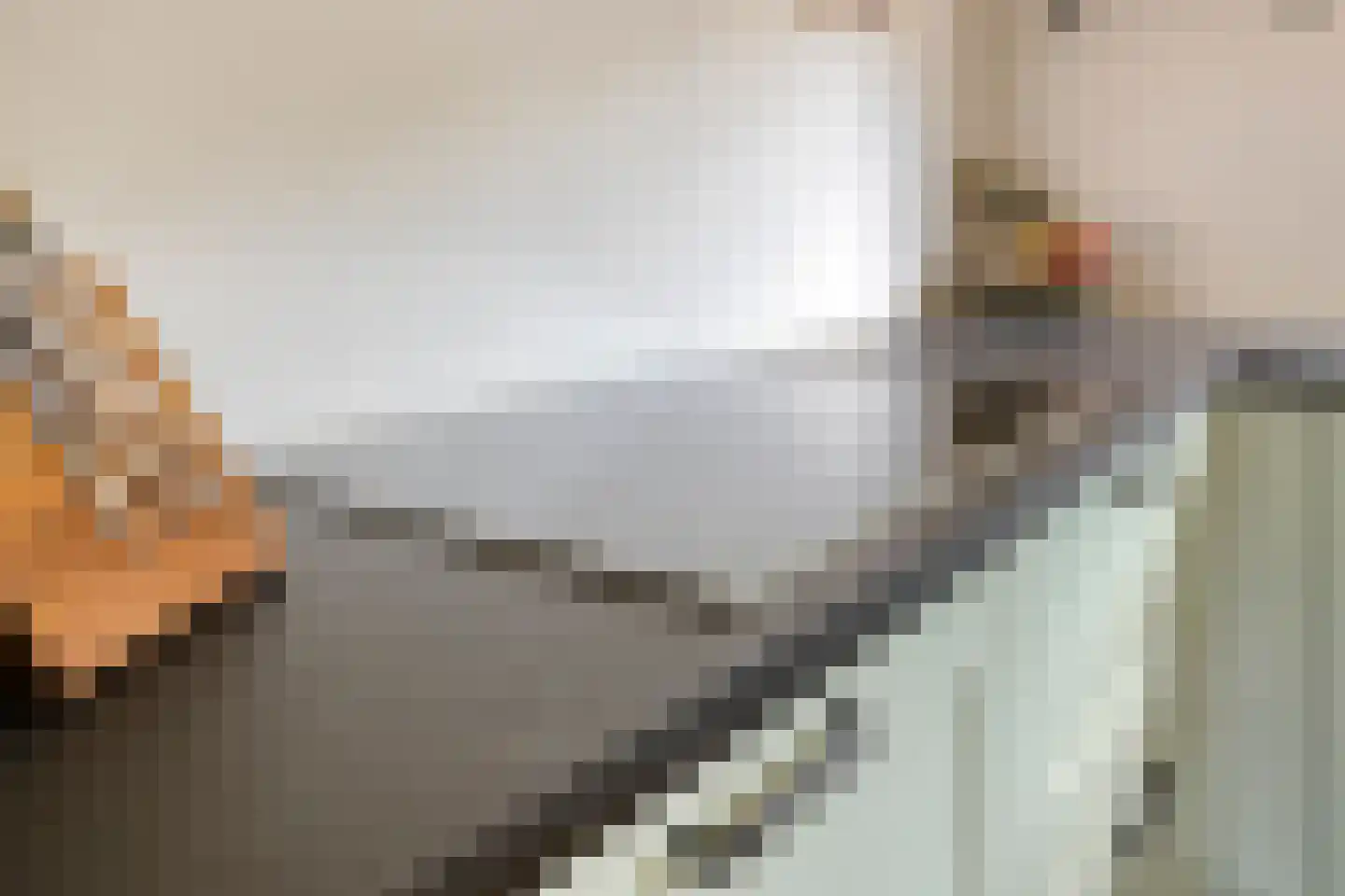 Distelvlinder 10 Breda thumbnail 18