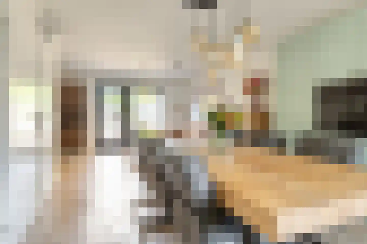 Distelvlinder 10 Breda thumbnail 19