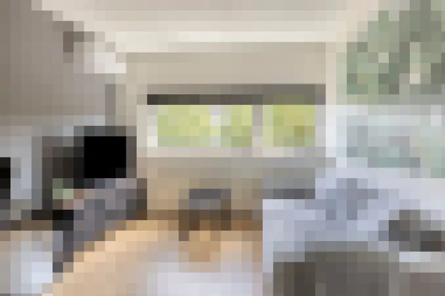 Distelvlinder 10 Breda thumbnail 27