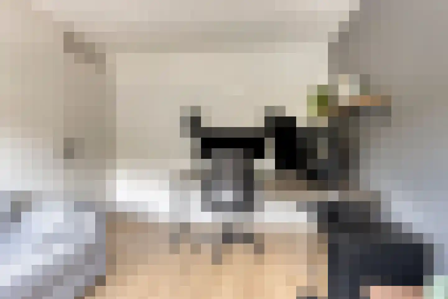 Distelvlinder 10 Breda thumbnail 28