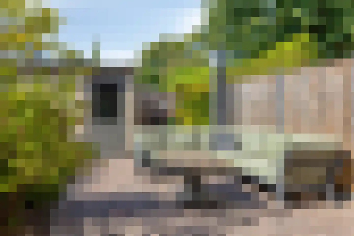 Distelvlinder 10 Breda thumbnail 34