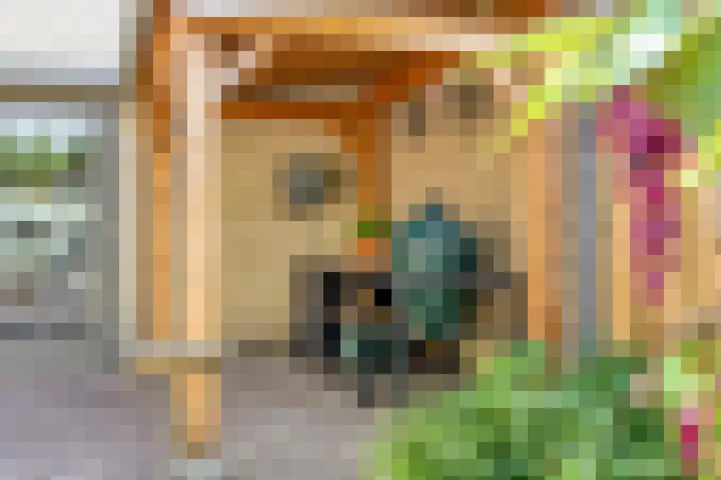 Distelvlinder 10 Breda thumbnail 35