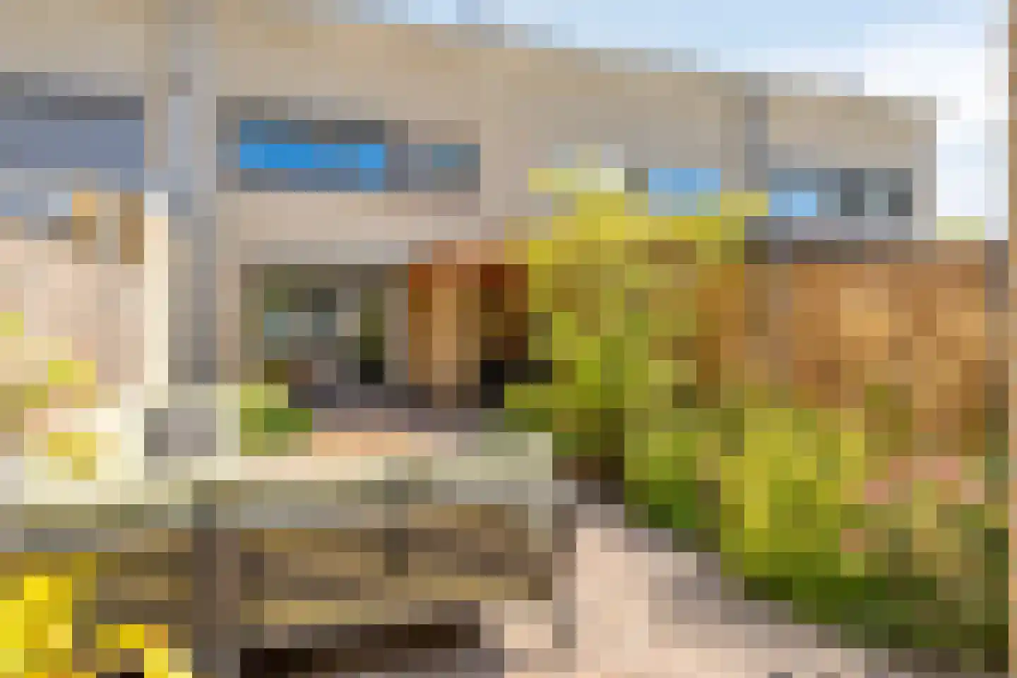 Distelvlinder 10 Breda thumbnail 36