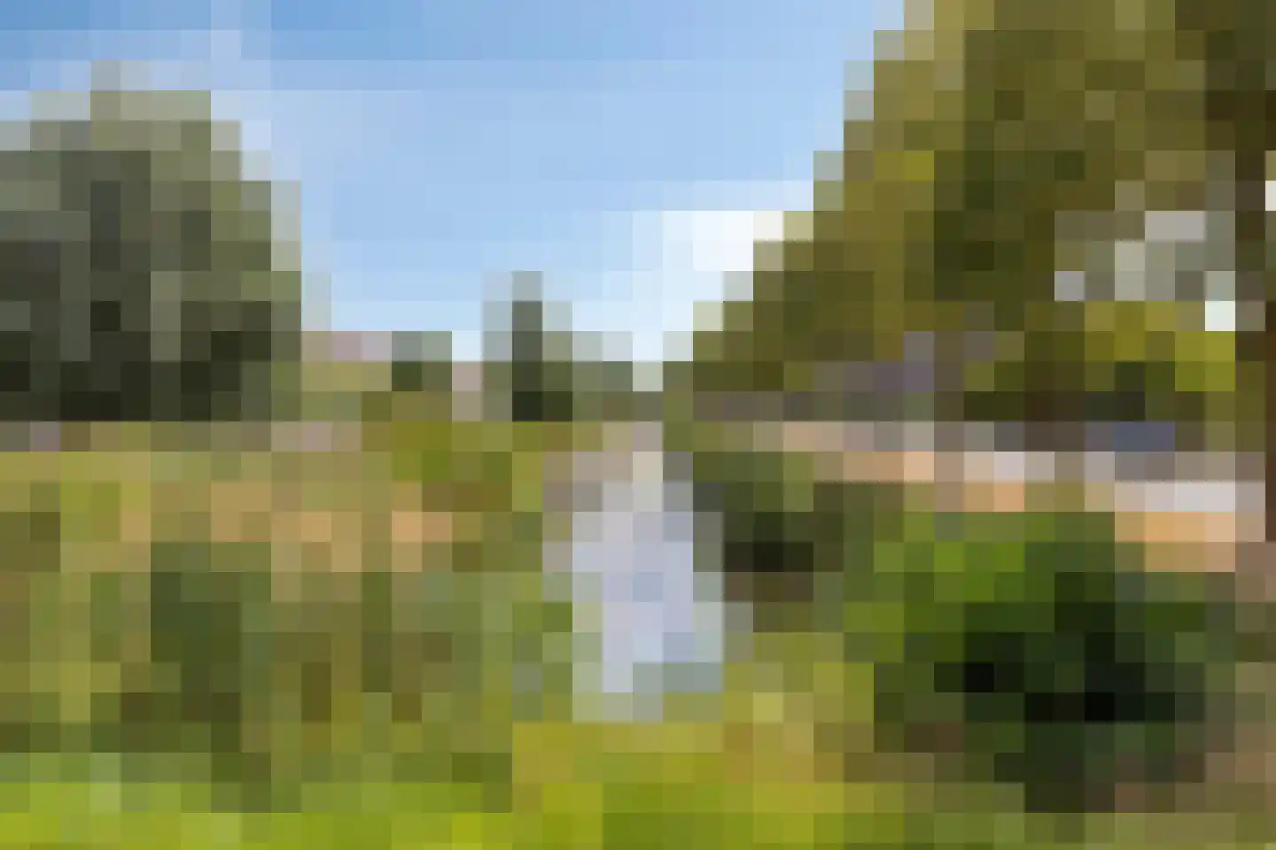 Distelvlinder 10 Breda thumbnail 38