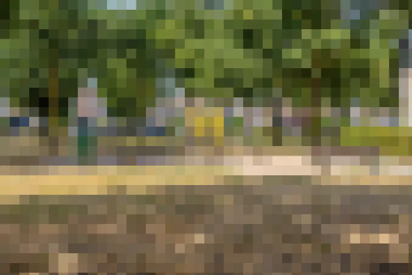 Distelvlinder 10 Breda thumbnail 39
