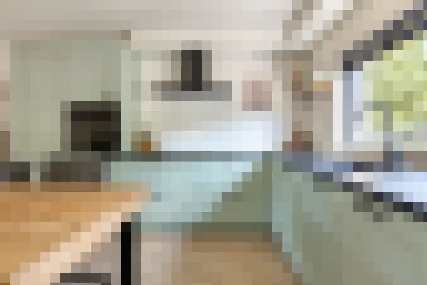 Distelvlinder 10 Breda thumbnail 4
