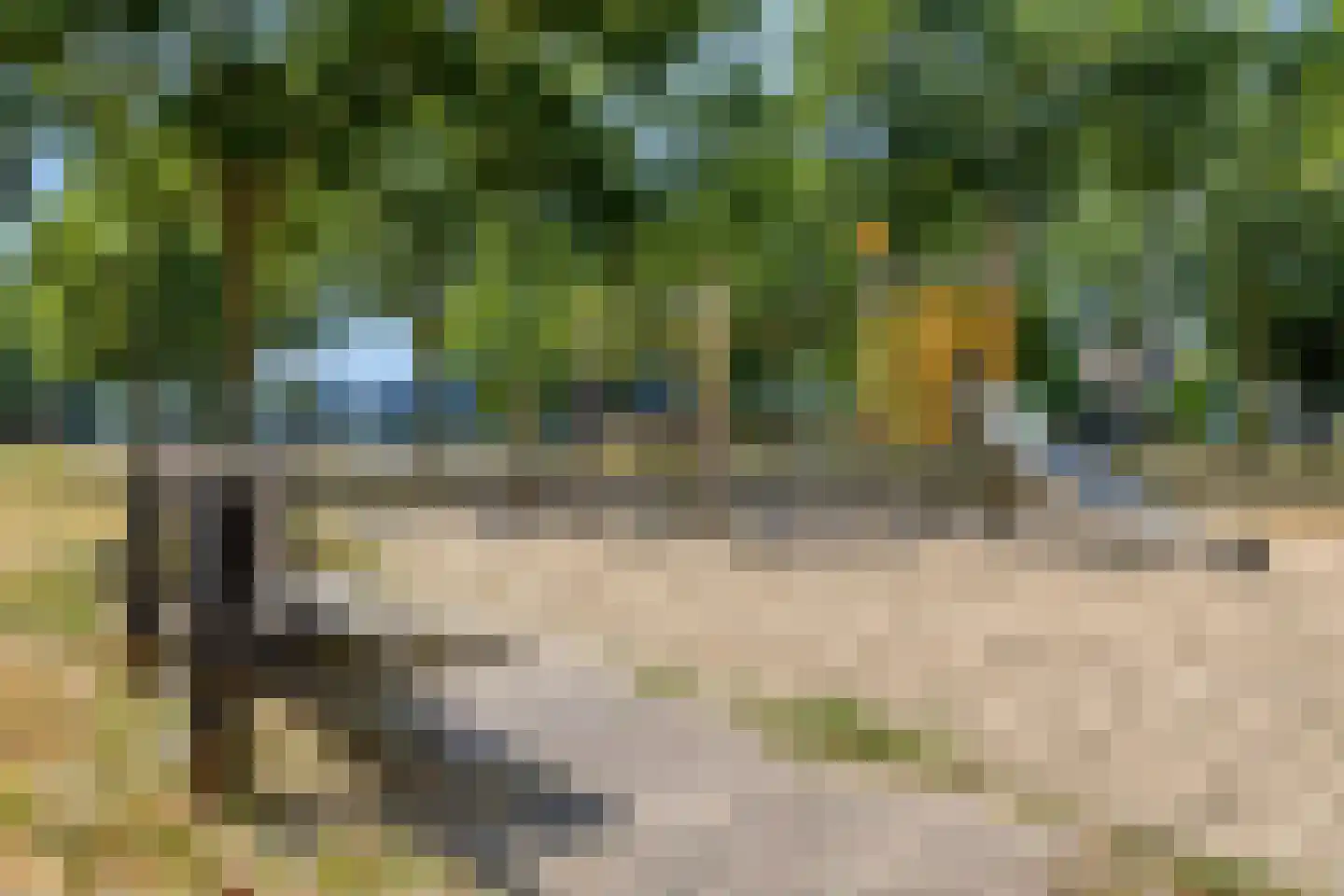 Distelvlinder 10 Breda thumbnail 40