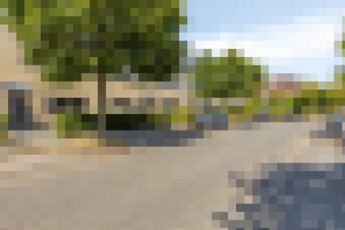 Distelvlinder 10 Breda thumbnail 8
