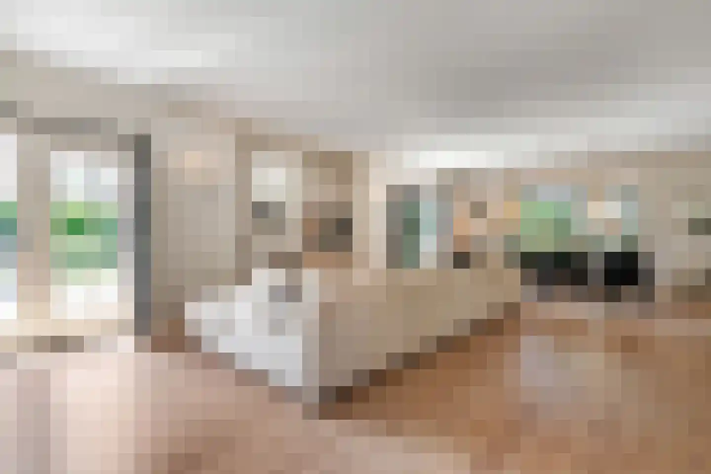 Distelvlinder 2 Enschede thumbnail 12