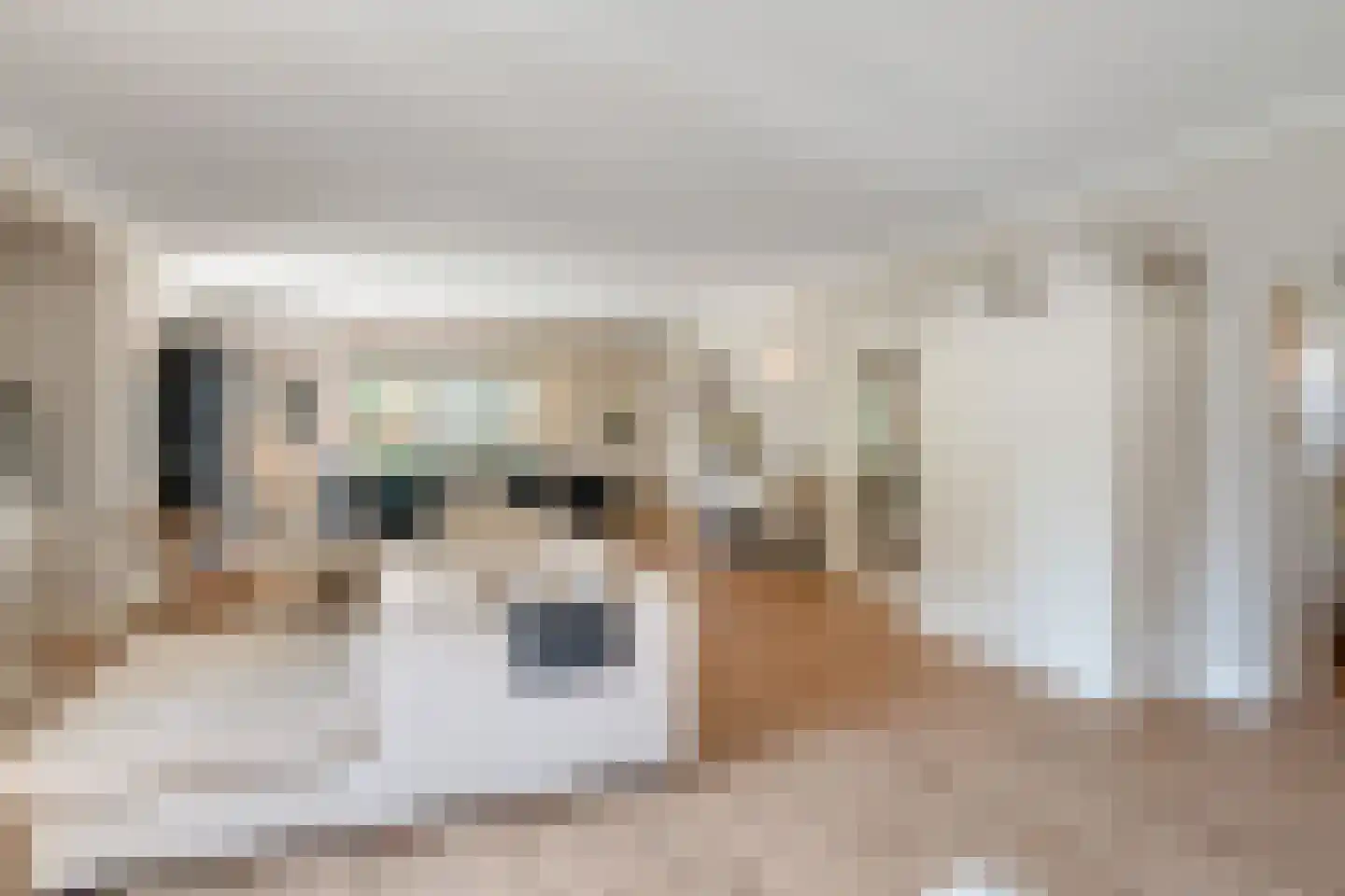 Distelvlinder 2 Enschede thumbnail 19