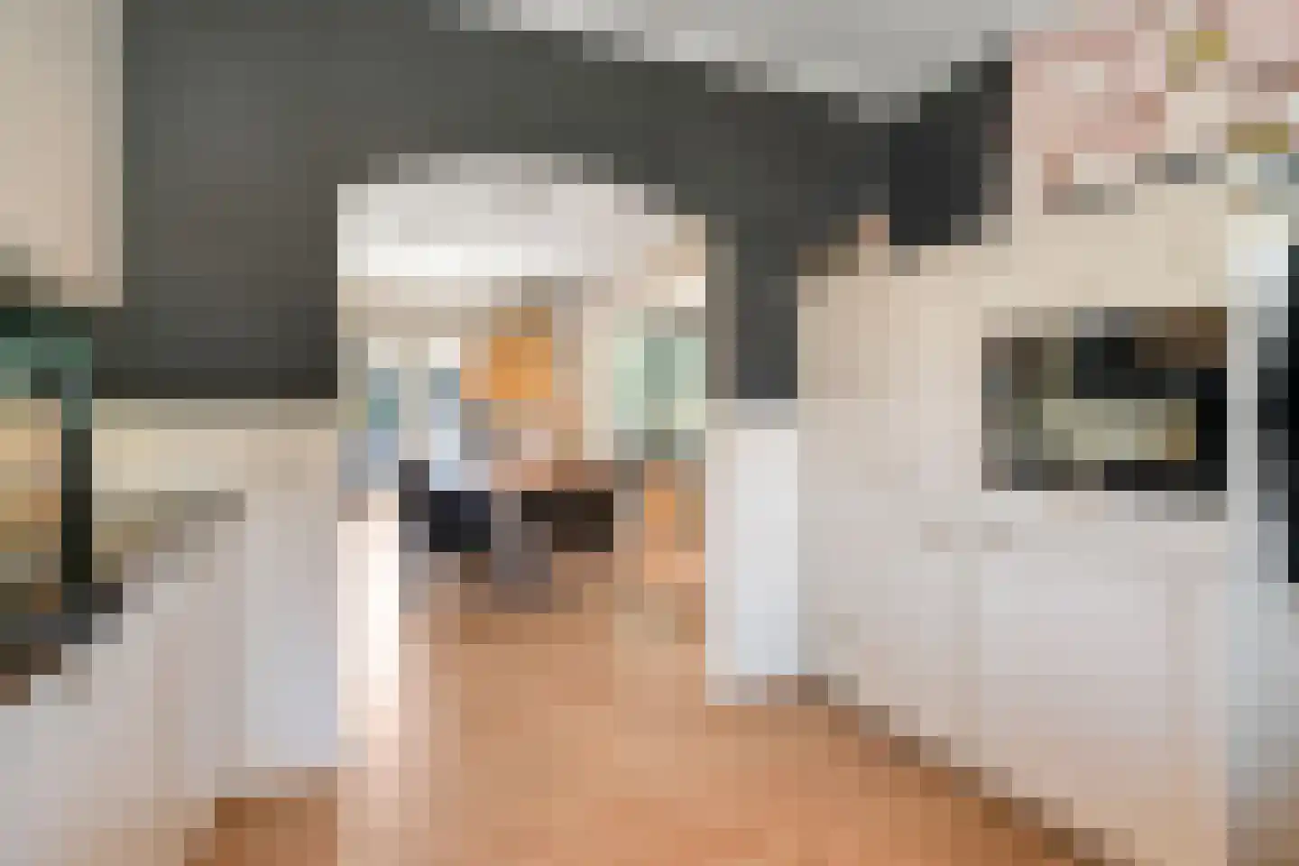Distelvlinder 2 Enschede thumbnail 25