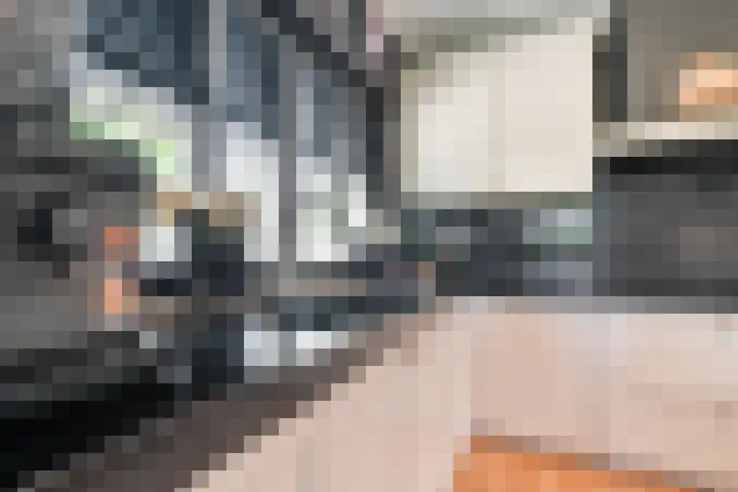 Distelvlinder 2 Enschede thumbnail 28
