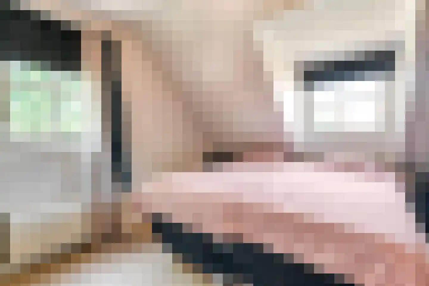 Distelvlinder 2 Enschede thumbnail 33