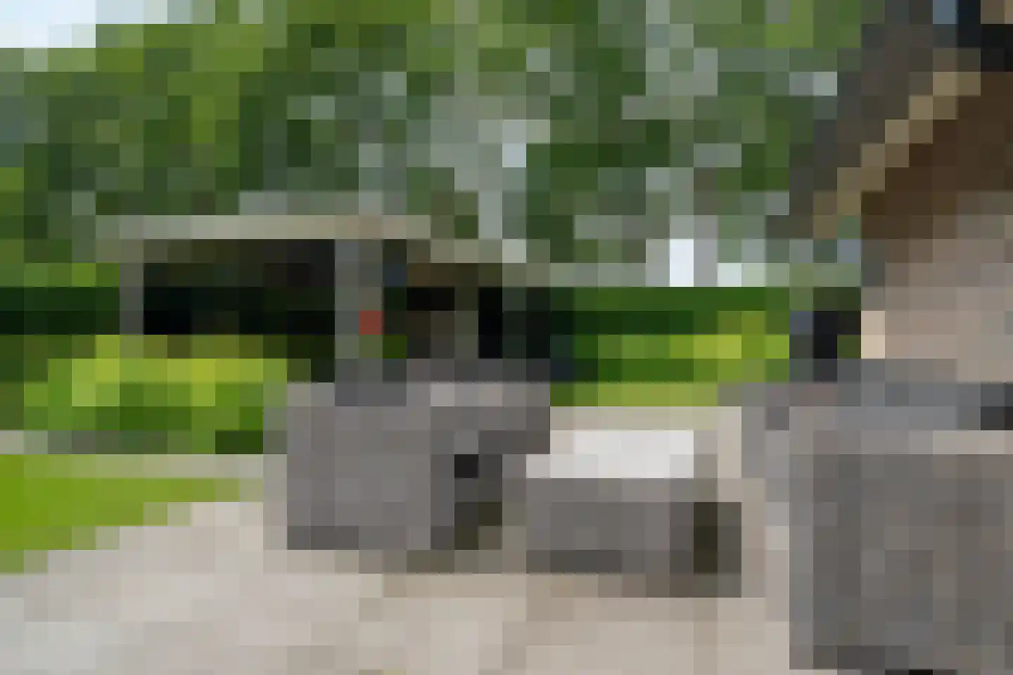 Distelvlinder 2 Enschede thumbnail 50