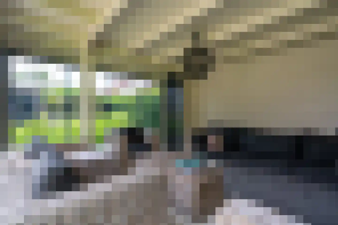 Distelvlinder 2 Enschede thumbnail 52
