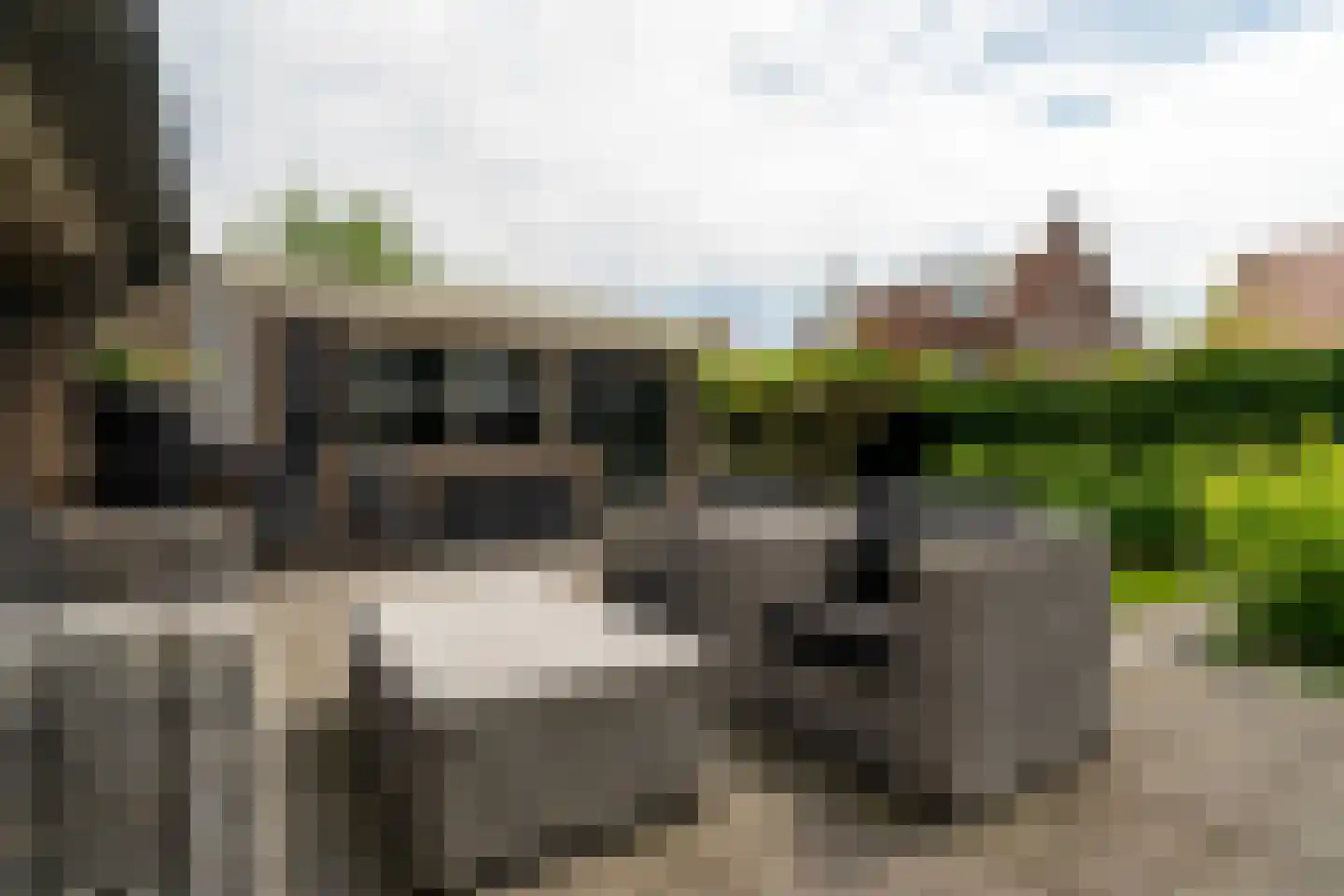 Distelvlinder 2 Enschede thumbnail 53